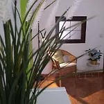 Estudio - Estudio 4