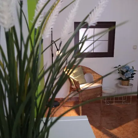 Estudio - Estudio 4